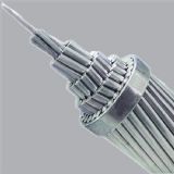 �S��ֱ�N�ߵ͉��ܿվ�-�о�X�g��Ҏ���Rȫ�r�����Ʒ�|����