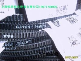 �M��Ƥ��7M�V�ǎ�