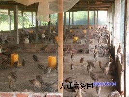 �V��ƽ�r(ji��)ɽ�u�硢ɽ�u��S��ֱ�N