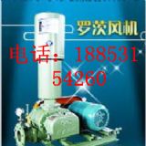 �����p�C�߉��_���L�C,�p�C�_���L�C