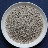 ������ɽ���׾ƃ������|������̿(�D)