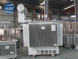 S11-50��1600/35KV���������׃����    ֻ��