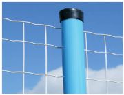 ���m�W(w��ng)