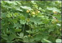 �Q������ȡ��Q���ӝ�s�w�����Q���ӝ�s��