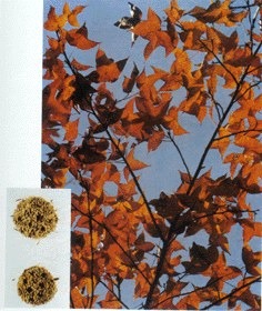 ··ͨ��ȡ�··ͨ��s�w����··ͨ��s��