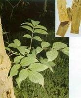 �S����ȡ�����S�ζ������S�Ν�s�w��