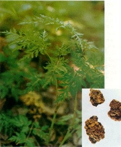 ��ܺ��ȡ���ܺ��s�w������ܺ��s��