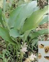 ݭ�g��ȡ�ݭ�g��s�w����ݭ�g��s��