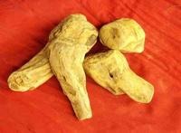 ���S��ȡ����S��s�w�������S��s��