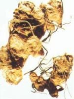 ��������ȡ������ߝ�s�w���������ߝ�s��