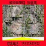 �rʯ�o�������W ɽ�w�G��ֲ�����پW