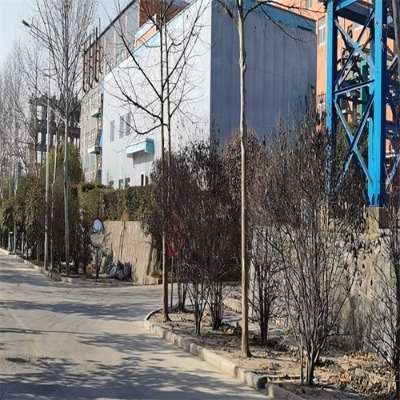 �����ҿ����� 䓹Ǽܿ��������b ׿�½���