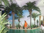 ��߅ɳ������Ҭ�Ә�r��