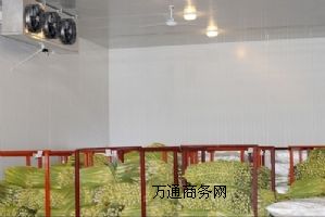 ����ʒ�h��� �RȪ��� ̫����� �ٶ�