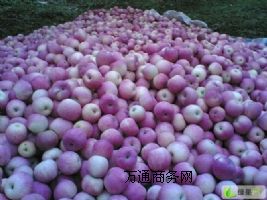 ����ɽ�|�O����죬�Ϸ�ʢѩ��칫˾