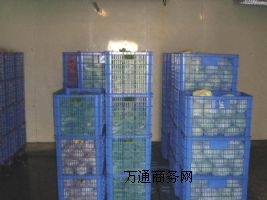 ����(y��ng)�ⶹ�����죬��ϱ��r��죬�ײ˱��r��죬�Ϸ�ʢѩ����