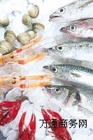 ��챣�� ���b��� ���r���