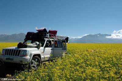 ��܇���{��app�_�l�Ј�ǰ������