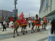 ���u��������r��