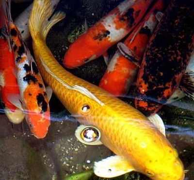 �r����10�� ��ϼ� �^�p�~ �ú���߽���Ч��