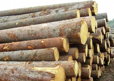 С���Rľ�M�ڈ��P�����ް��Rľ�M�����P������˾