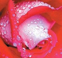 ��ɽϴ����(������)õ���㾫