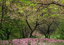 �����㾫ĸ���w���㾫