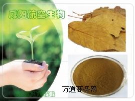 ����ɽ��Sͪ