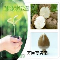 ��������Sͪ