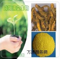 �����}��С�މA