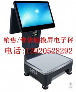 ����N���|������ӳ�