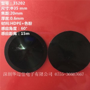 ���`���~�ؘ� �t��y�؃x������͸�R35202