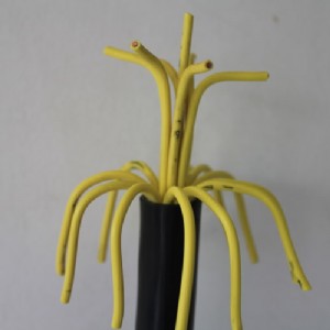 KVV������|