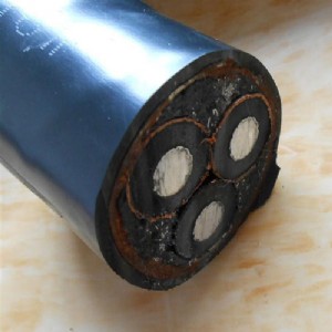 �߉��z�b�Xо��|YJLV22