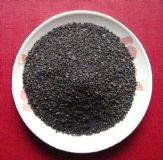 �|���o��ú�V�σr��-�P�\�o��ú�V�ϏS��