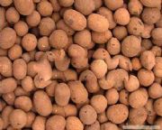 �����ԏ�(qi��ng)�����V�����a(ch��n)���أ������V�ϏS��