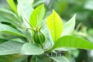 �d���S�����|ʳƷ���d���S