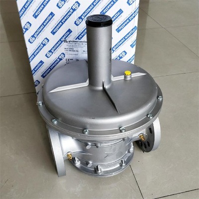 ������M��giuliani�F��fs1b80�͉���(w��n)���y