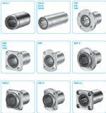 NBֱ���S��