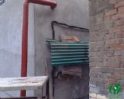 ᘿ�ӡȾ��ˮȾ����ˮӡȾ��ˮ̎���O(sh��)��