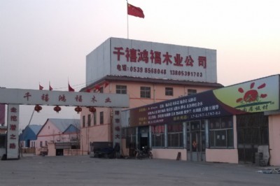 �S����16mm�h�����B�����l