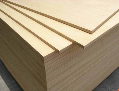 �S���ܰ�����B(t��i)�h(hu��n)����ďS��