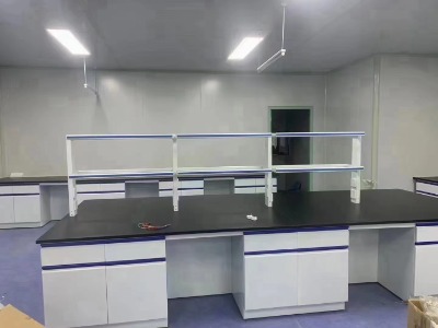 供應(yīng)桂平實(shí)驗(yàn)室藥品柜-實(shí)驗(yàn)室家具-桂平實(shí)驗(yàn)室工程