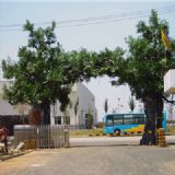 �����٘���T�OӋ �����٘���Tʩ��