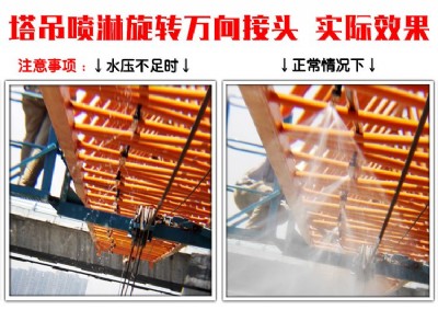 �������������O��