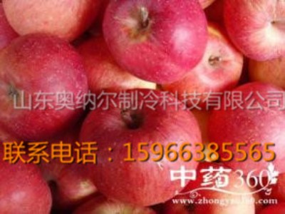 �O�����Ľ��� �O�����r��ע����헡�-�W�{������