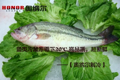 ˮ�aƷ��؎�-���|���S�ҊW�{������