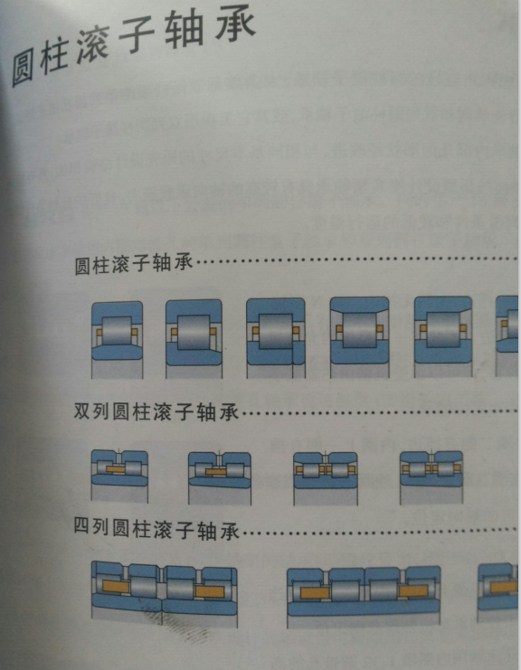 �����I�S�ЏS-�A���L���S��