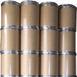 �g����������