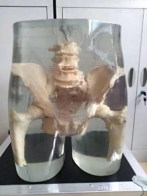 x�侀�y�P��ģ�w-���˹��^x�侀�y�P��ģ�w